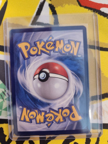 Raging Bolt ex SAR 095/071 sv5K Wild Force HOLO Pokemon Card Korean