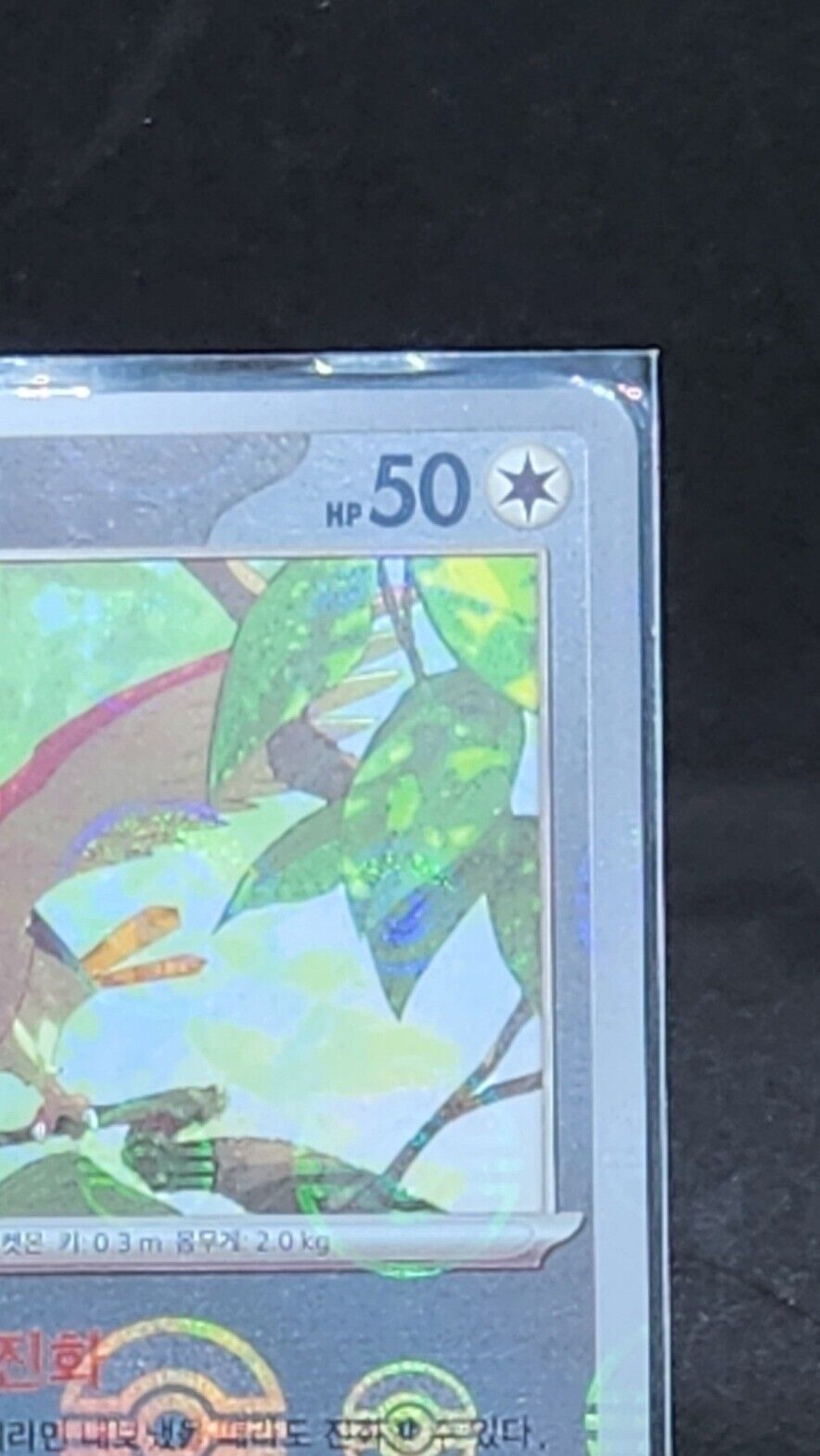 Spearow Reverse Holo 021/165 Pokemon 151 Card Pokeball reverse holo Korean