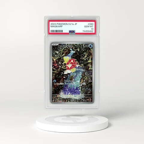 The Expert's Guide to Storing and Protecting Single  Cards