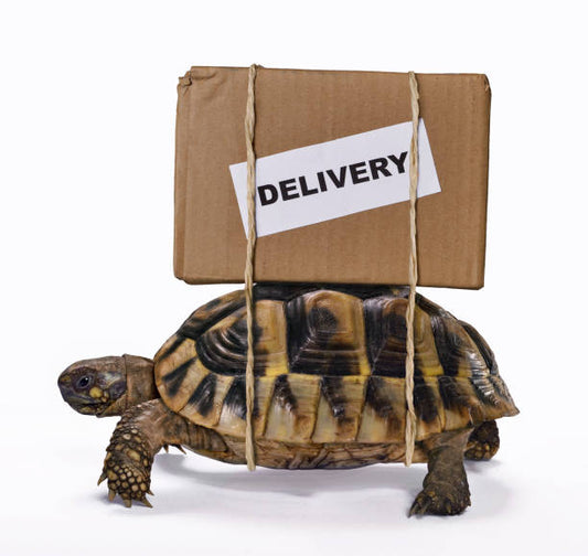 Shipping Delays to the US & Australia (Peak Season)