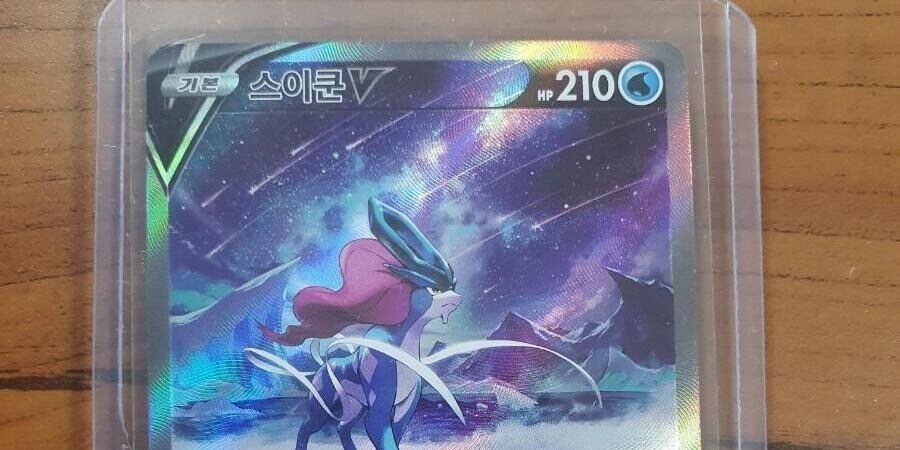 Suicune Entei Raikou Vstar SAR Full art S12a VSTAR Universe PTCG sleeves