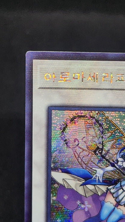 Aromaseraphy Rosemary QCCU-KR164 Secret Rare Yugioh OCG Korean Ver excellent