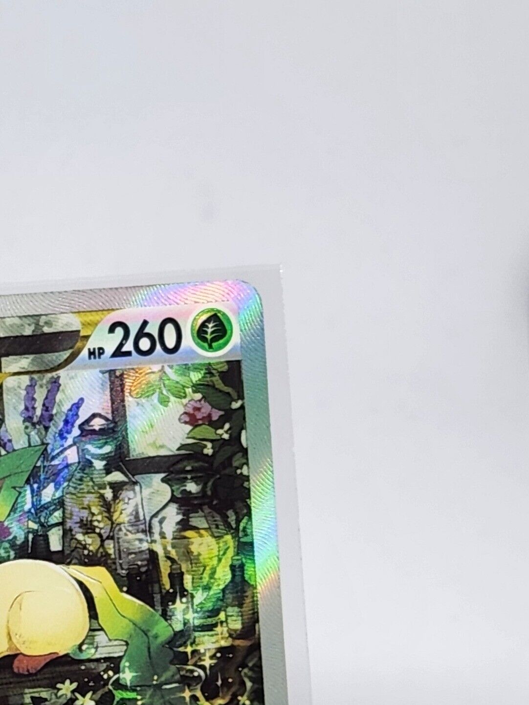 Leafeon V SAR s12a 210/172 Vstar universe Pokemon card Korean NM