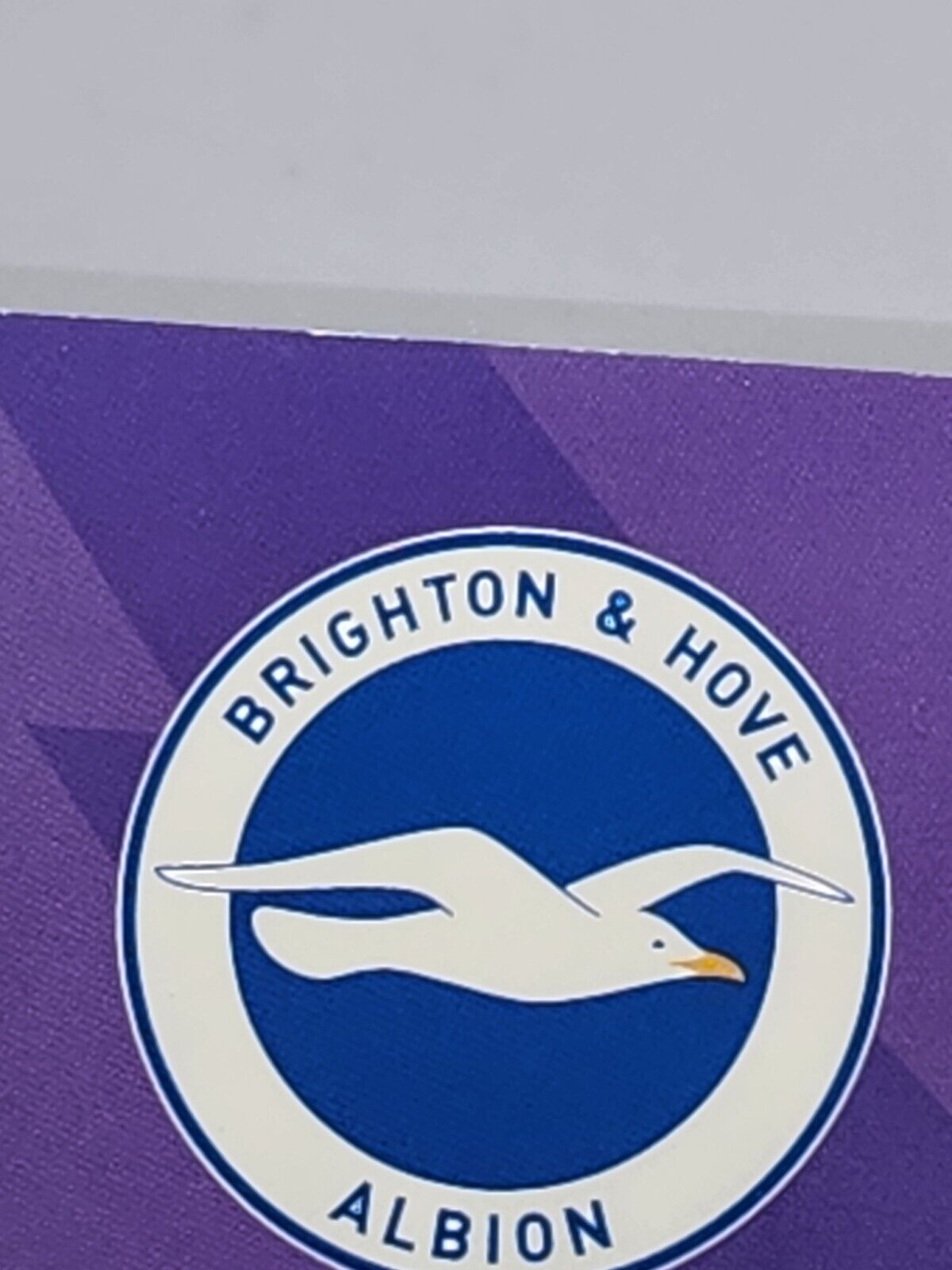 2023-24 Panini Adrenalyn Premier League Singles #83 Jason steele excellent