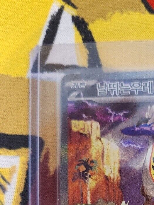Raging Bolt ex SAR 095/071 sv5K Wild Force HOLO Pokemon Card Korean