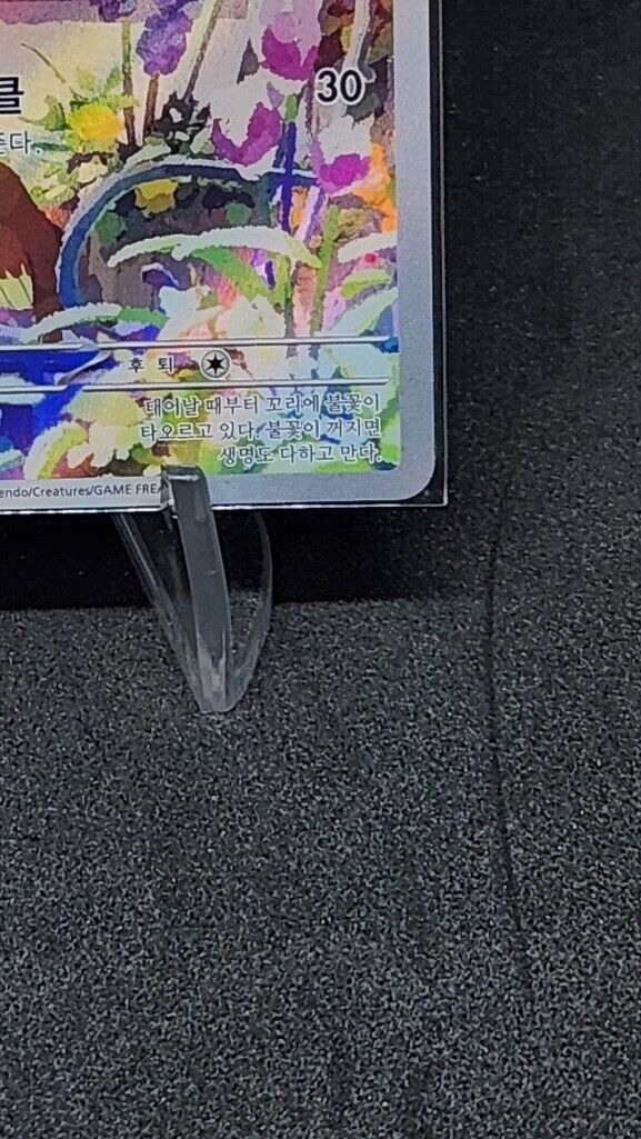 Charmander AR Pokemon Card Game svG Special Deck Set ex 051/049