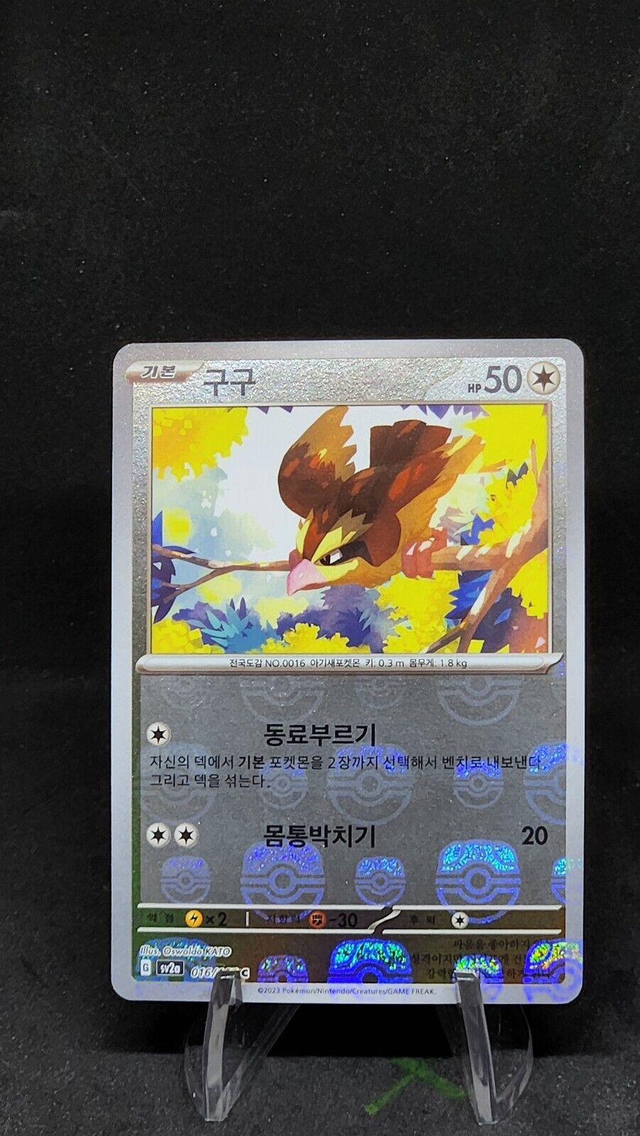 Pidgey 016/165 Masterball holo Korean Pokemon 151 sv2a