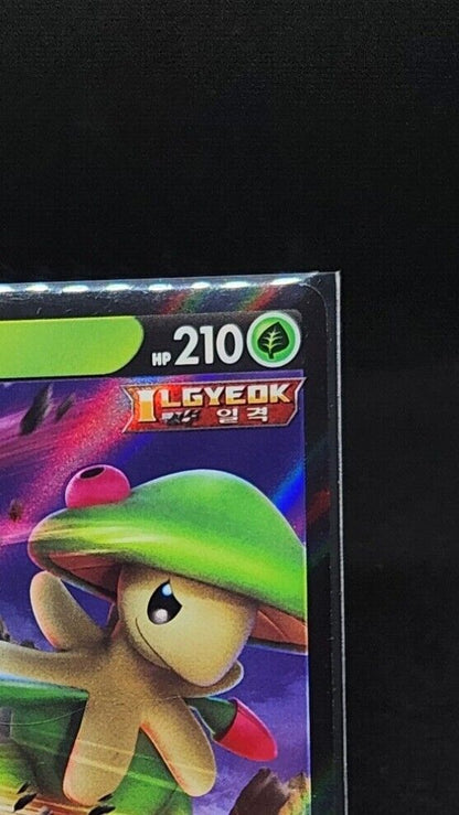 Breloom V S-P GYM PROMO Pokemon Card Korean 104/S-P