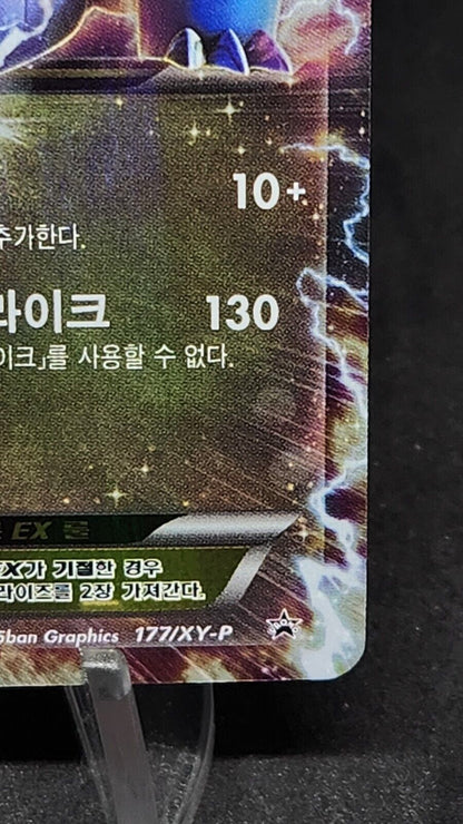 Salamence EX 177/XY-P 2016 Korean League Promo Pokemon Cards HP
