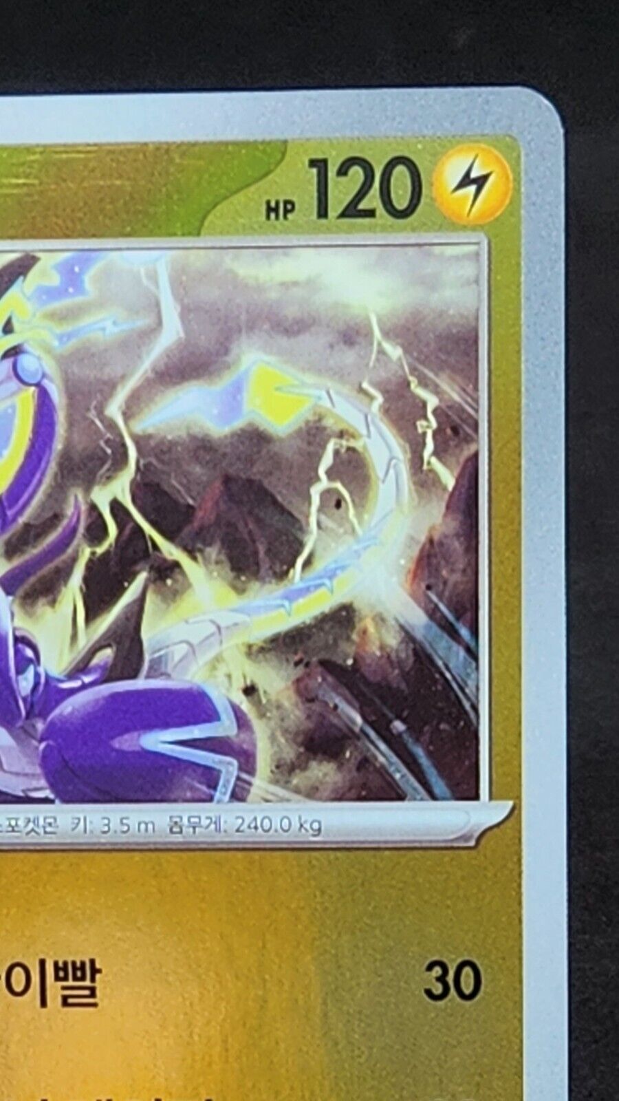 Pokemon card Miraidon 004/SV-P Promo 2023 Pokémon TCG Korean Holo Rare