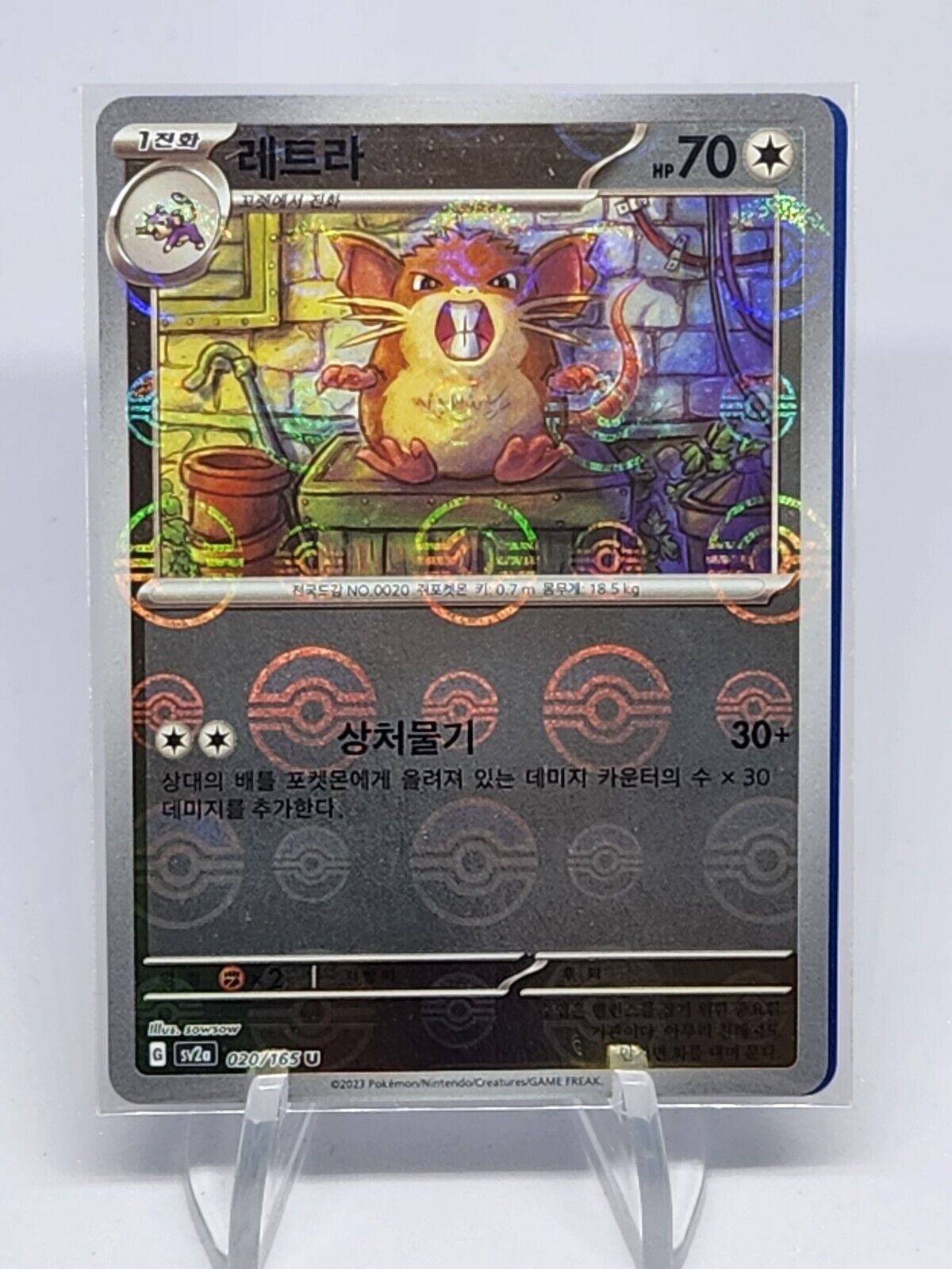 Raticate U 020/165 REVERSE HOLO Pokemon Card 151 SV2a Korean Pokeball holo