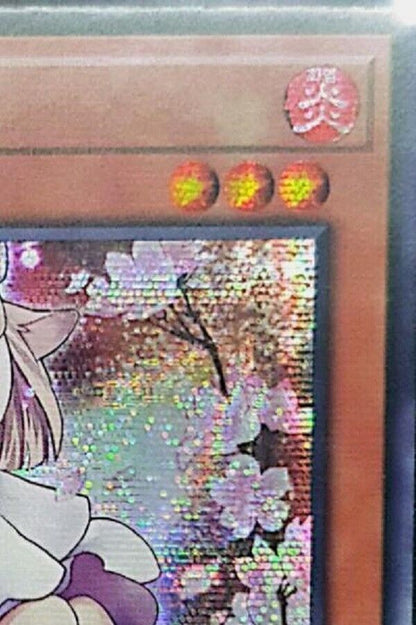 Ash Blossom & Joyous Spring Secret Rare Yugioh OCG Korean  RC03-KR010