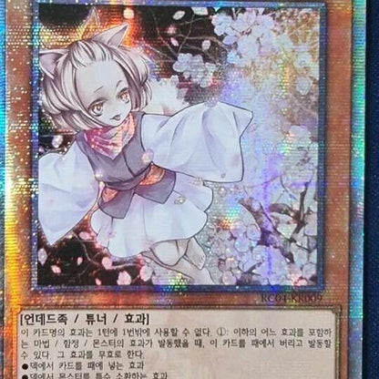 Yugioh OCG Ash Blossom Joyous Spring Quarter Century Secret Rare RC04-KR009