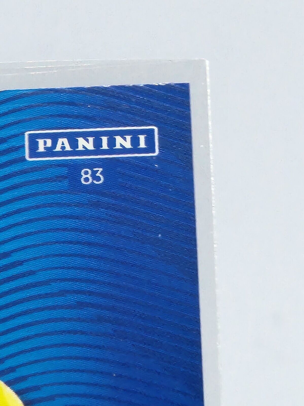 2023-24 Panini Adrenalyn Premier League Singles #83 Jason steele excellent