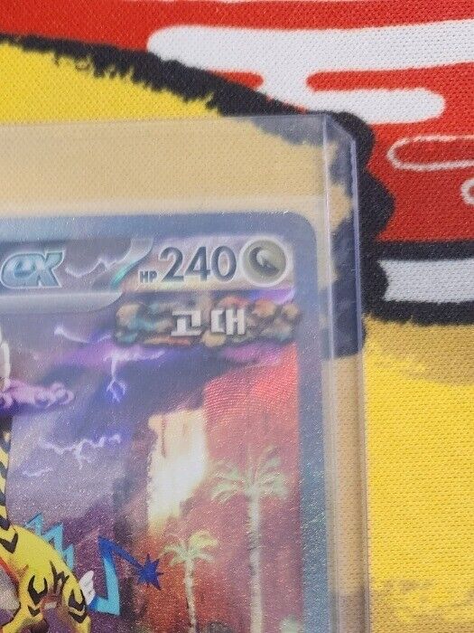 Raging Bolt ex SAR 095/071 sv5K Wild Force HOLO Pokemon Card Korean