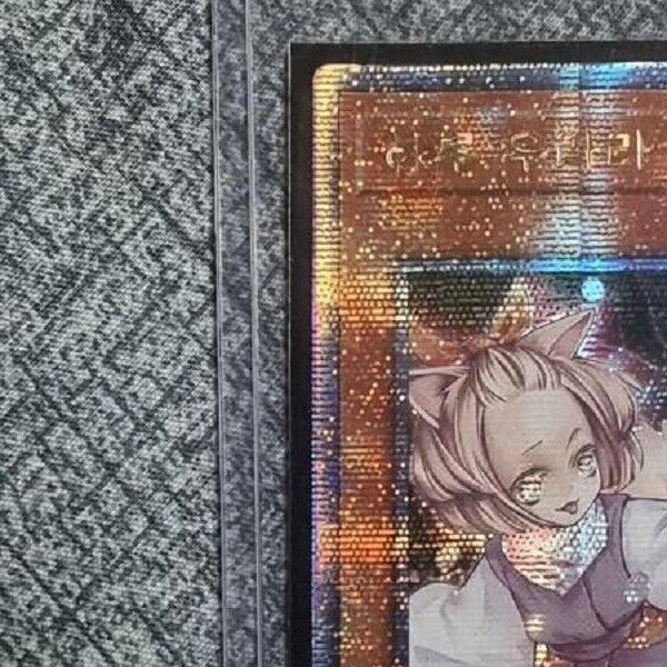 Yugioh OCG Ash Blossom Joyous Spring Quarter Century Secret Rare RC04-KR009