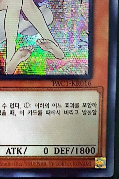 Ash Blossom & Joyous Spring Secret Rare Yugioh OCG Korean  RC03-KR010